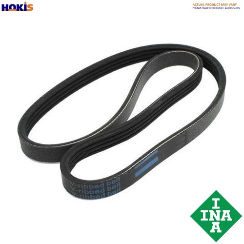 Cinghia vibrante 6pk2196 - cinghia,